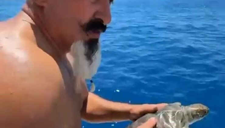 Alanya’da Çuvala Dolanan Deniz Kaplumbağası Kurtarıldı