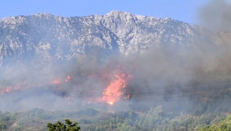 Alanya’da orman yangını