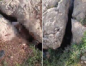 Altın ararken karşılaştıkları manzara karşısında donup kaldılar