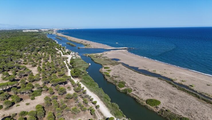 Antalya’da Kumköy Sahili’nde halk plajı için ön tahsis kararı