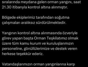 Çanakkale’de tarım arazisinde yangın