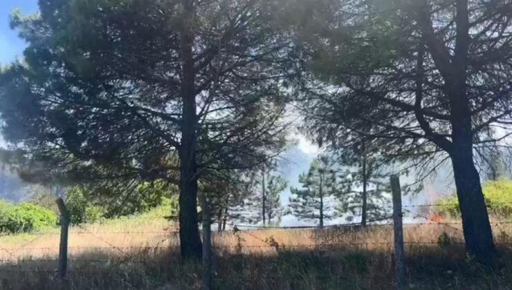 Çatalca’da otluk alandan ağaçlık alana sıçrayan yangın