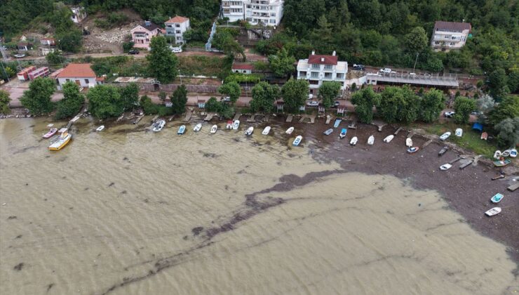 Cide’de su taşkınları limanı balçık ve odunla kapladı