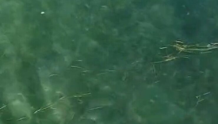 Dron ile boğulma anı kurtarıldı