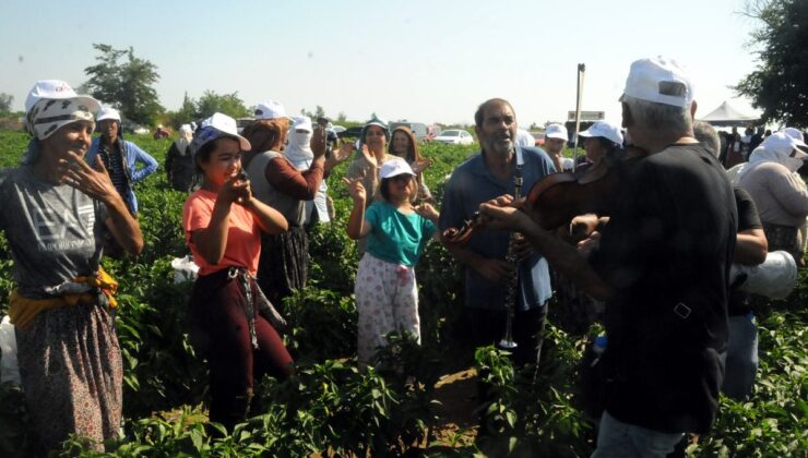 Edirne’de Karaağaç acı biberi hasadı oyun havalarıyla başladı