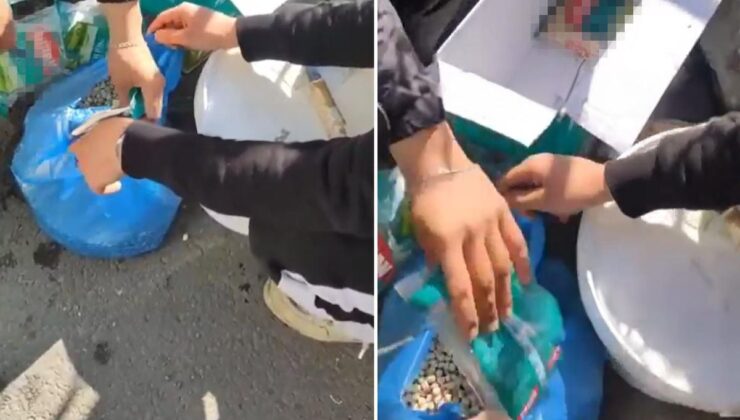 Esnaftan pes dedirten oyun! Marketten alıp ‘köy nohudu’ diye satmışlar