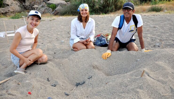 Gazipaşa’da Yerleşik Yabancılar Deniz Kaplumbağalarının Gönüllü Koruyucuları Oldu