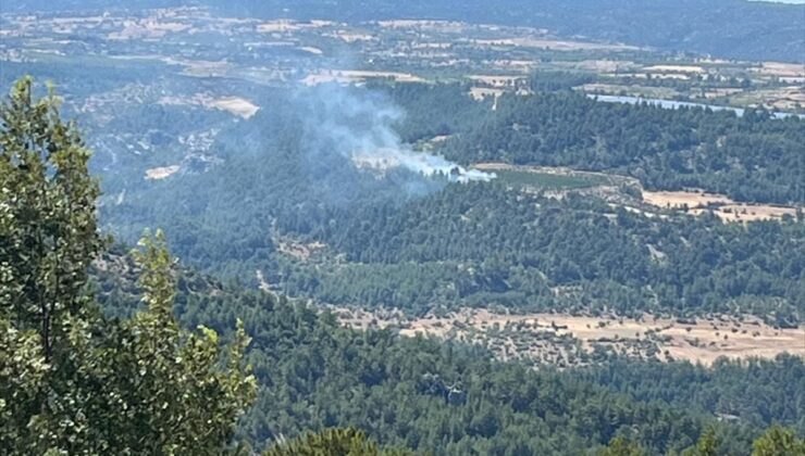 Gülnar’da zirai alandan ormana sıçrayan yangın söndürüldü
