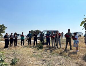 Hatay’da yaralı ve bitkin bulunan 18 kuş tedavilerinin ardından doğaya salındı