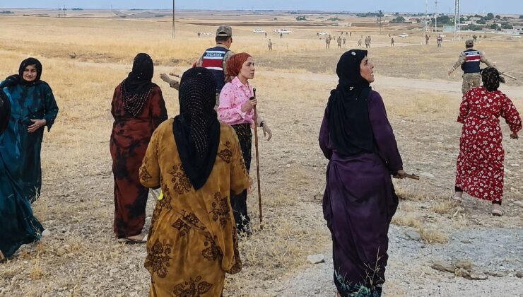 İki aile arasında pamuk tarlasında taşlı sopalı kavga; 8 yaralı
