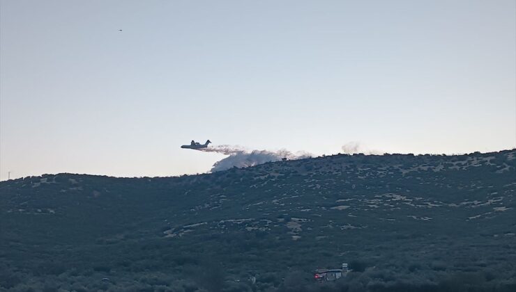 İzmir’de çıkan orman yangınına havadan ve karadan müdahale ediliyor