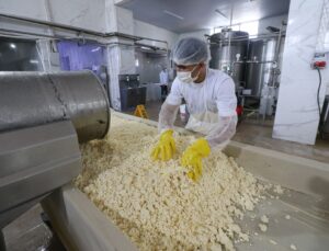 Kars’ta yılda 19 bin ton coğrafi işaretli peynir üretiliyor