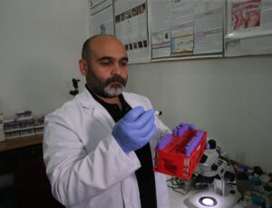 Kenelere karşı “dikkatli olunması ancak panik yapılmaması” uyarısı