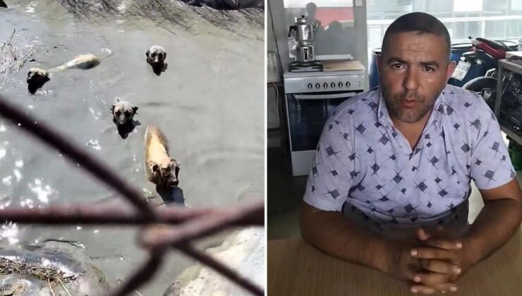 Köpekleri boğulmaktan kurtaran vatandaşı işten kovdular