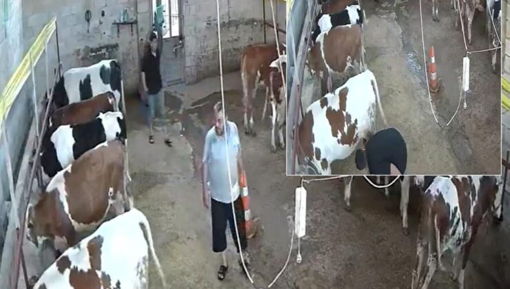 Okulu bitirip babasının yanına dönen genç, ahırda kabusu yaşadı