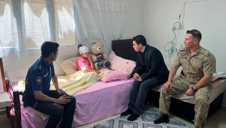 Şanlıurfa’da sahipsiz köpeklerin saldırısına uğrayan 8 yaşındaki çocuk yaralandı
