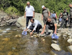 Sel felaketinin yaşandığı Bozkurt’taki İlişi Çayı’na 15 bin alabalık salındı