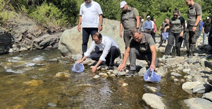 Sel felaketinin yaşandığı Bozkurt’taki İlişi Çayı’na 15 bin alabalık salındı