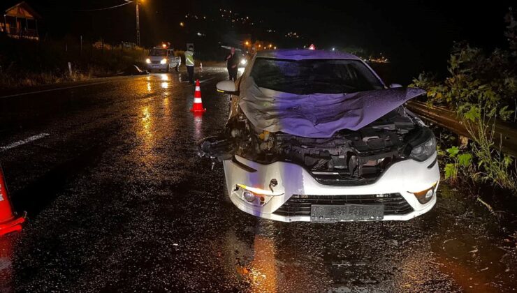 Sinop’ta büyükbaş hayvana çarpan otomobildeki 1 kişi yaralandı