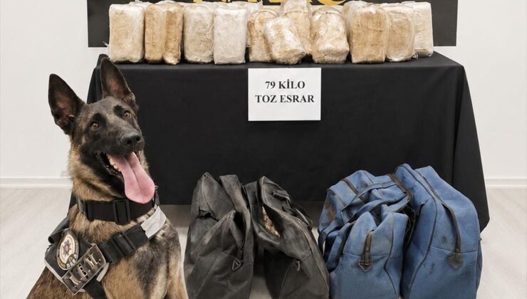 Şırnak’ta tırda 79 kilogram esrar ele geçirildi