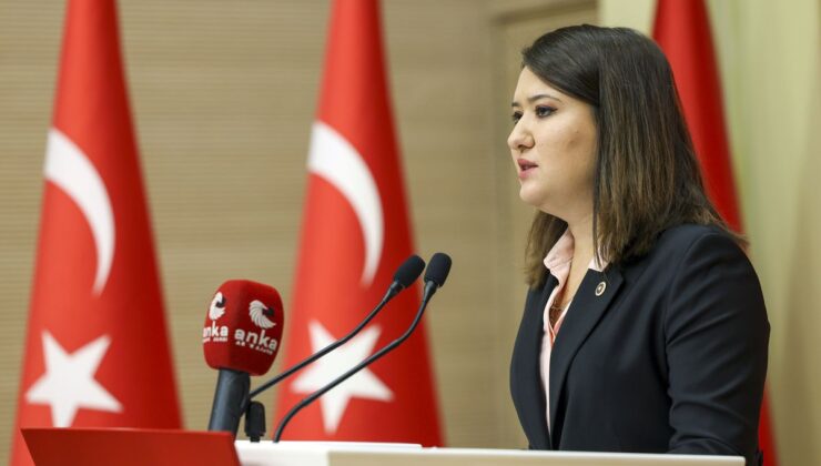YENİ Partili Gökçen, Gezi tutuklularının gerekçesiz sevkini Meclis gündemine taşıdı
