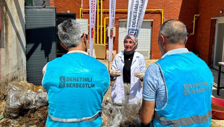 Yükümlüler “Gelecek Doğada Projesi” ile mantar yetiştiriciliğini öğreniyor