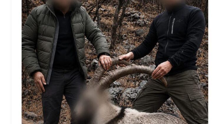 6 Yıl Sonra Yakalandılar: Yaban Keçisi Avcılarına Ceza