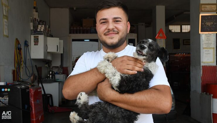 Adana’da Esnaf Boğulmak Üzere Olan Köpeği Kurtardı
