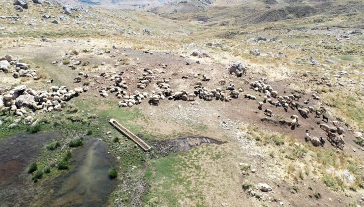Adıyaman’ın yüksek rakımlı yaylalarında göçerlerin üretim mesaisi