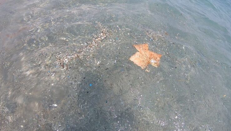 Akdeniz’de Mikroplastik Tehlikesi: Meltem Rüzgarları Kıyıya Plastik Atık Taşıyor
