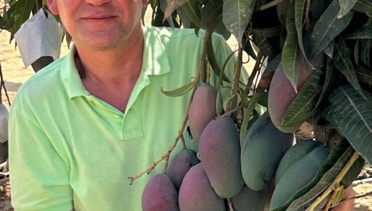Alanya’da Mango Üreticisi Eşini Bıçaklayıp İntihar Girişiminde Bulundu