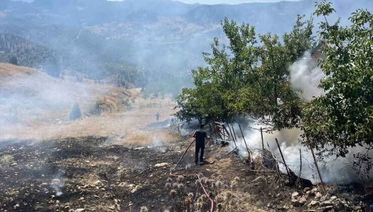 Alanya’da zirai yangın kontrol altına alındı