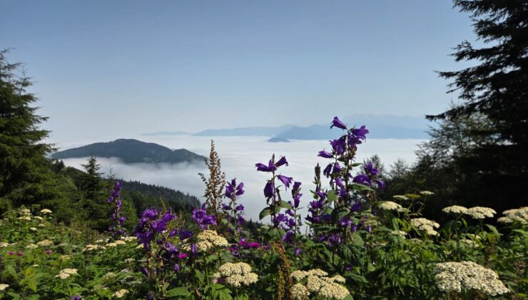 Artvin’de sis bulutu dronla görüntülendi