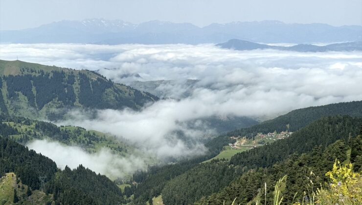 Artvin’de yüksek kesimlerde sis etkili oldu