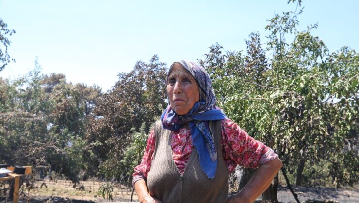 Aydın’da Yangın Mağduru 80 Yaşındaki Arzu Celep’e Hayırseverlerden Yem Yardımı