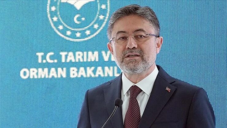 Bakan Yumaklı: Alanya, Dilovası ve Marmara Adası’ndaki yangınlar kontrol altına alındı