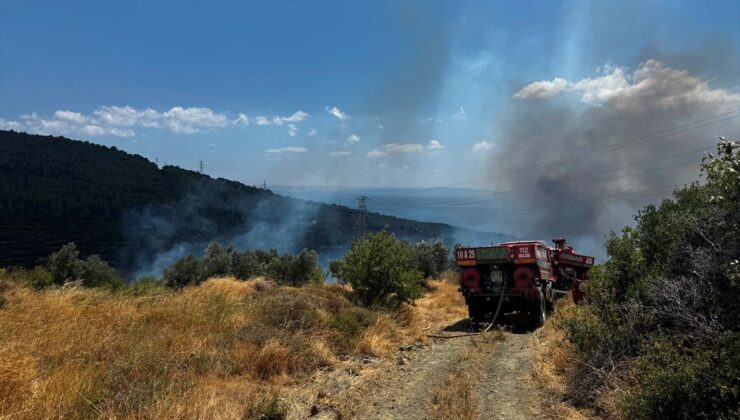 Balıkesir’in Erdek ilçesinde makilik ve zeytinlik alanda yangın çıktı