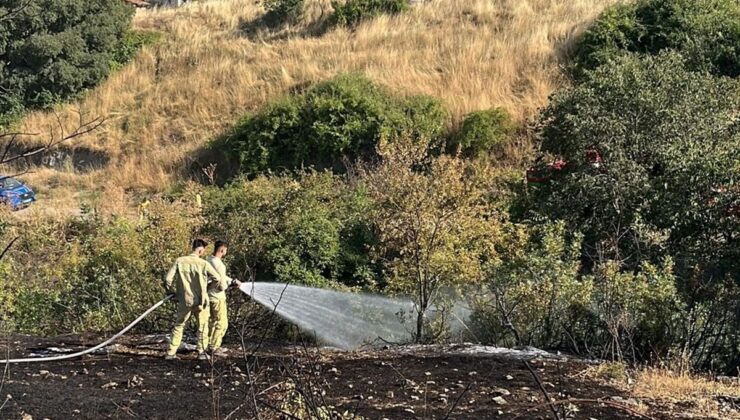 Bilecik’te otluk yangın ormana sıçramadan söndürüldü