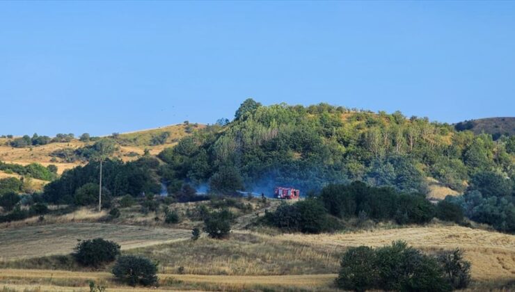 Bolu’da anız yangını kontrol altına alındı