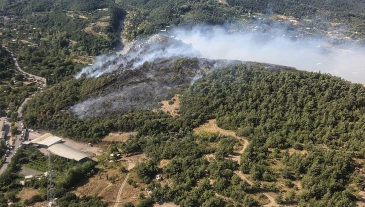 Bursa’da 3 Ayrı Noktada Orman Yangını