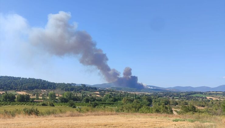 Çanakkale’de Orman Yangınına Müdahale