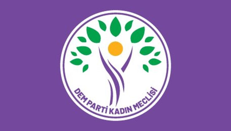 DEM Parti’den Rojin Kabaiş soruşturmasına ilişkin sert açıklama