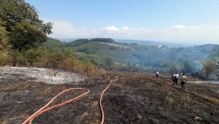 Düzce’de fındık bahçesinde çıkan yangın ormana sıçramadan söndürüldü