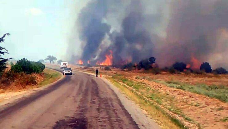 Edirne’de anız yangını ormana sıçradı; havadan ve karadan müdahale sürüyor