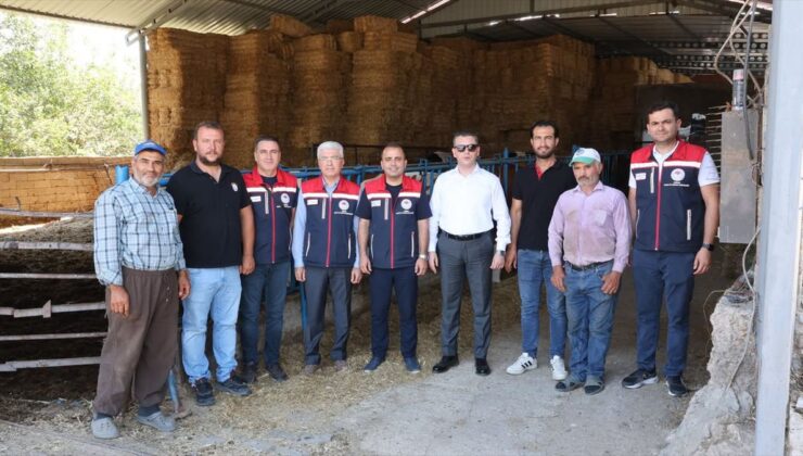 Edirne’de Hayvancılığa Destek Projesi ile 3 Buzağı Dünyaya Geldi