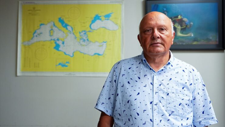 Ege’de Dev Mercan Ormanı Keşfedildi