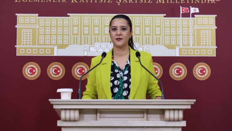 EMEP’li Karaca, Akşehir’deki Kadına Yönelik Şiddet İddiasını Meclis Gündemine Taşıdı