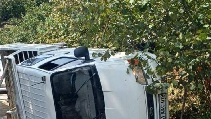 Fındık işçilerini taşıyan kamyonet devrildi: 14 yaralı