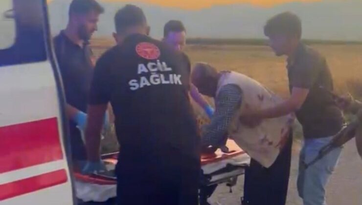 Gaziantep’te hayvan otlatma kavgası; 2 yaralı