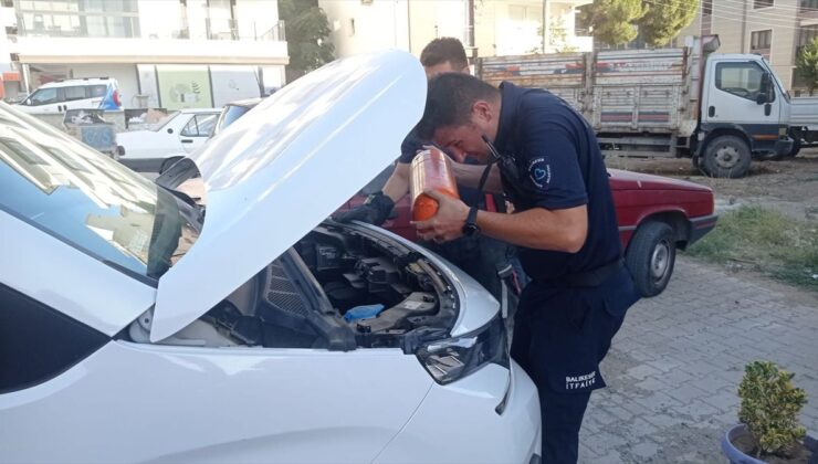 Gömeç’te Kediyi İtfaiye Kurtardı